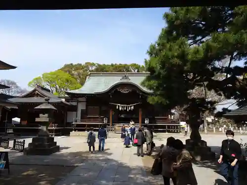 葛飾八幡宮の本殿