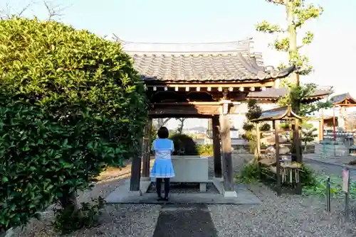 龍泰寺の手水