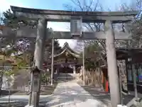 彌彦神社 (伊夜日子神社)の鳥居