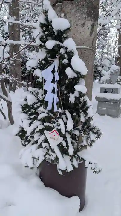 八幡愛宕神社(旭川神社)の初詣