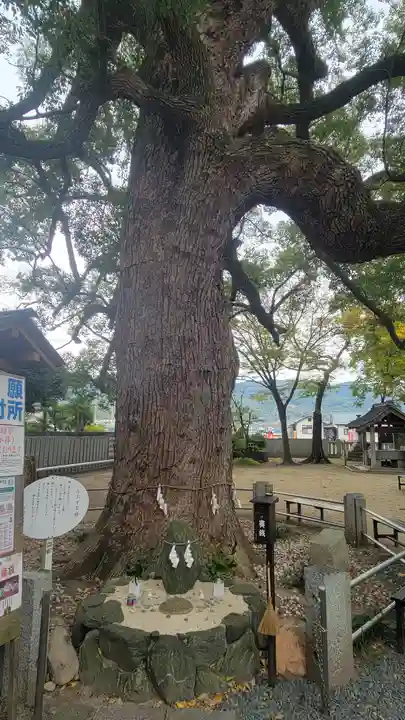 高忍日賣神社(愛媛県)