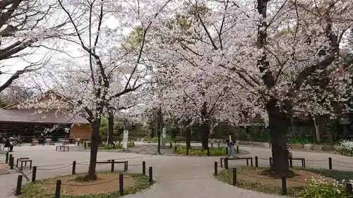 靖國神社の自然