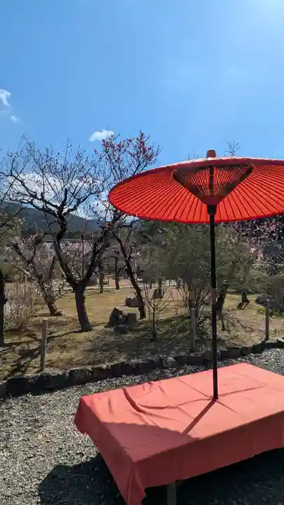 隨心院(随心院)(京都府)