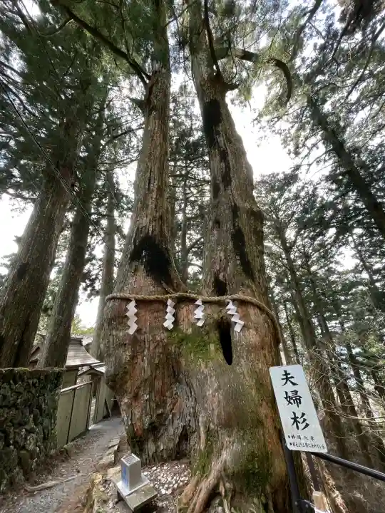 玉置神社の{uncategorized: "未分類", other: "その他", undefined: "問題あり", building: "その他建物", grave: "お墓", sacred_gate: "鳥居", guardian: "狛犬", statue: "像", buddha: "仏像", history: "歴史", nature: "自然", garden: "庭園", animal: "動物", pagoda: "塔", temizu: "手水舎", mountain_gate: "山門・神門", sanctuary: "本殿・本堂", subordinate: "末社・摂社", art: "芸術", scenery: "景色", jizo: "地蔵", ema: "絵馬", goshuin: "御朱印", omikuji: "おみくじ", items: "授与品その他", amulet: "お守り", goshuincho: "御朱印帳", eats: "食事", festival: "お祭り", votive_dance: "神楽", shichigosan: "七五三参", wedding: "結婚式", experience: "体験その他", initially: "初詣", around: "周辺", anti_infection: "感染症対策"}