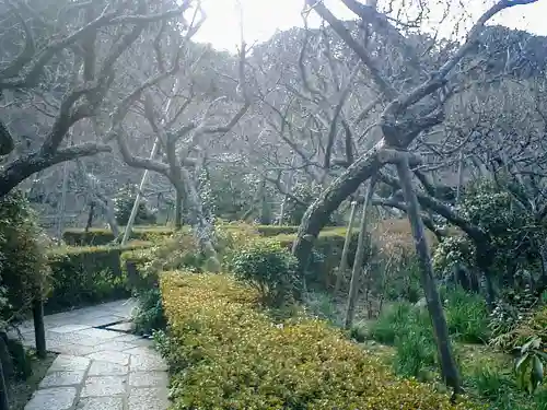 瑞泉寺の庭園