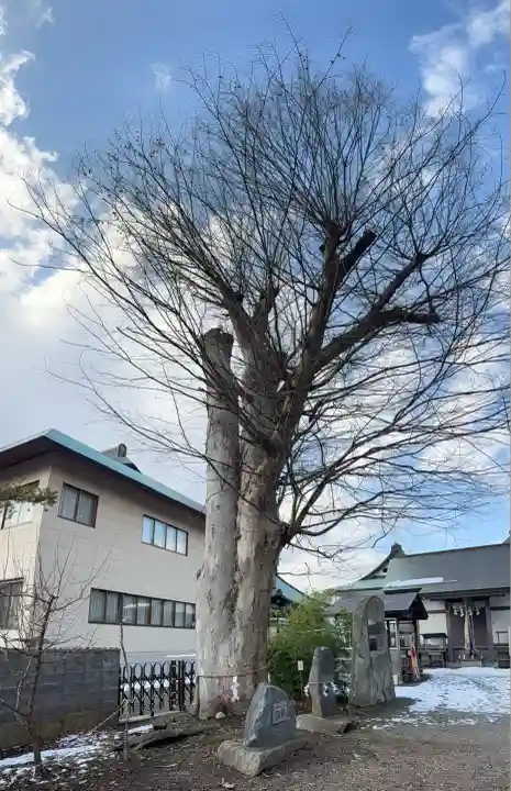 三ツ石神社(岩手県)