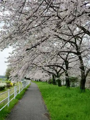 唐澤山神社の自然