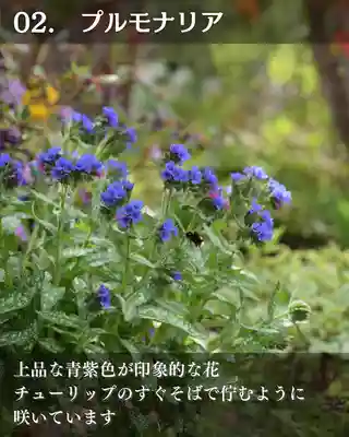 宝光寺(北海道)