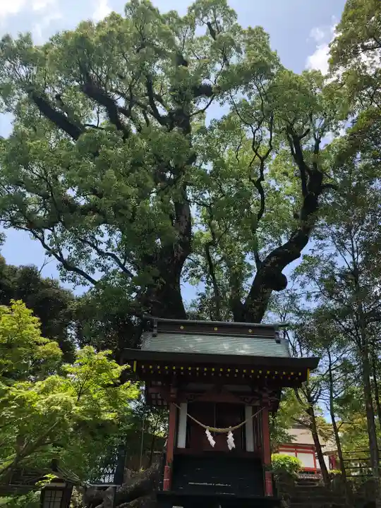 鹿児島神宮(鹿児島県)