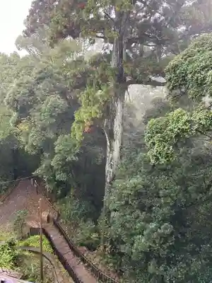 笠森寺(千葉県)