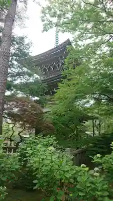 道場寺のその他建物