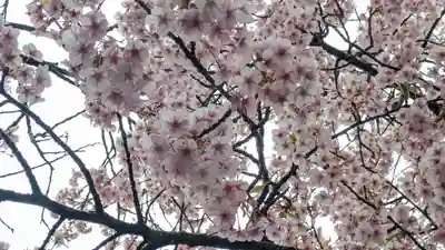 知恩院(京都府)