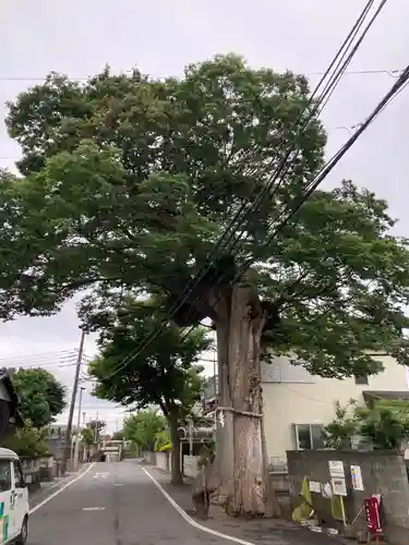 相模国総社六所神社(神奈川県)