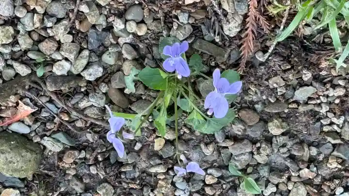 表刀神社(宮城県)