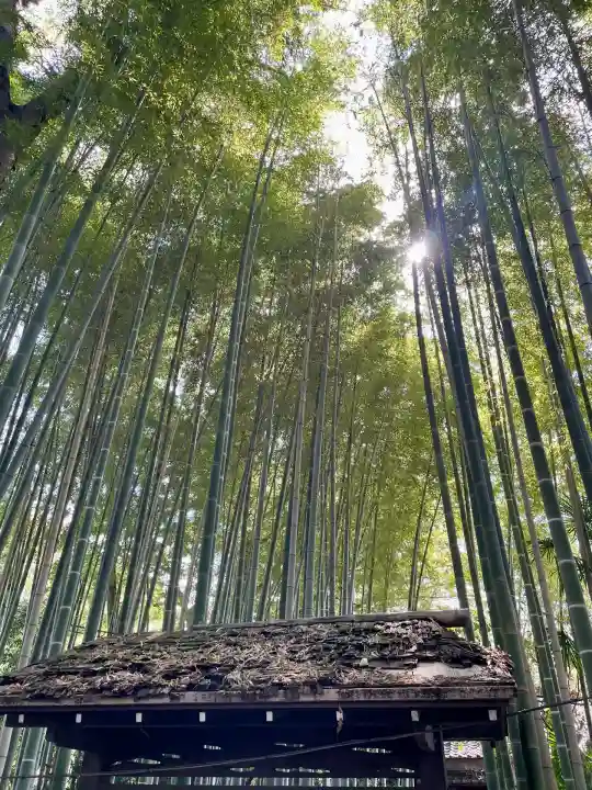 妙光院(東京都)