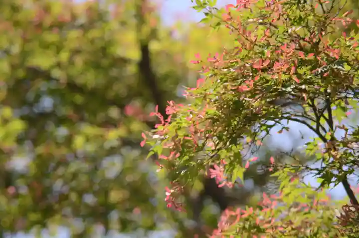 鷺森神社(京都府)