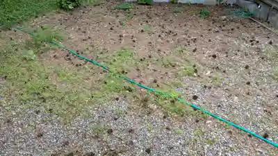 鶴若稲荷神社の庭園