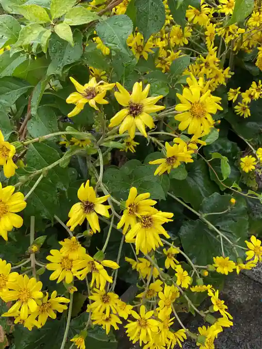 太部古天神社(岐阜県)