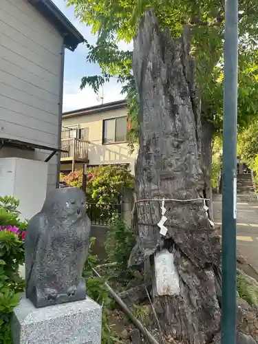 豊鹿嶋神社(東京都)