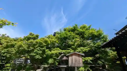 勝林寺(京都府)
