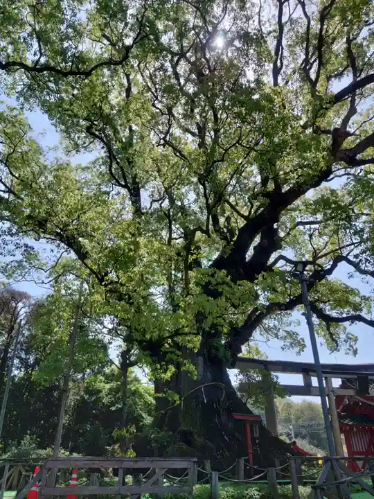 山宮神社(鹿児島県)