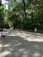 明治神宮(東京都)