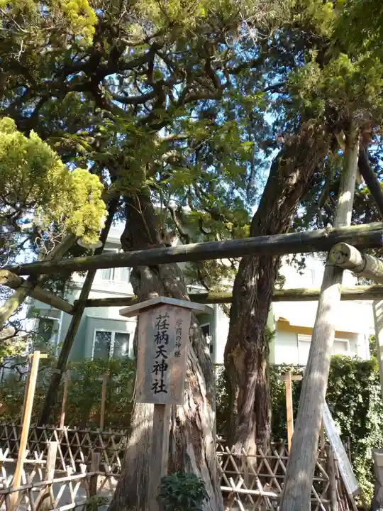 荏柄天神社の自然