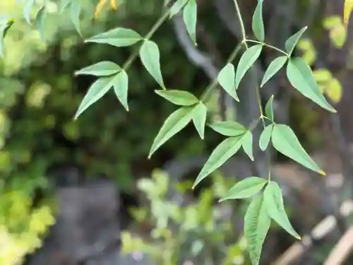 西方山極楽寺(岐阜県)