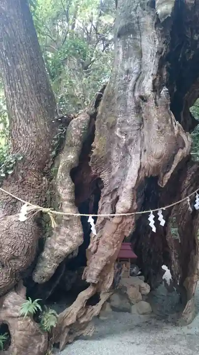 來宮神社のその他建物