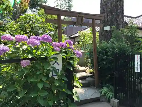 白山神社の鳥居