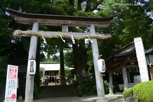 比々多神社の鳥居