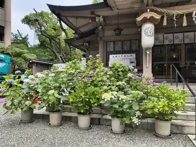 坐摩神社(大阪府)