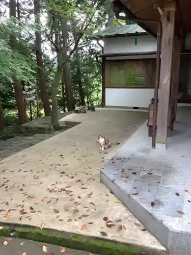 玉野御嶽神社の動物