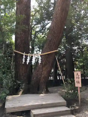 武蔵一宮氷川神社の自然