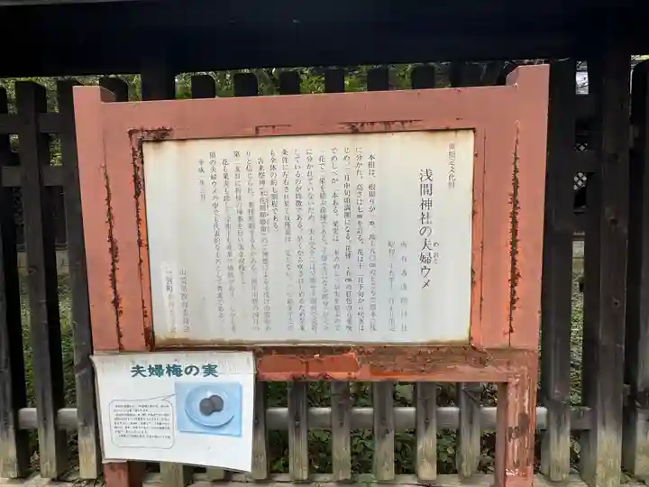 甲斐國一宮 浅間神社(山梨県)
