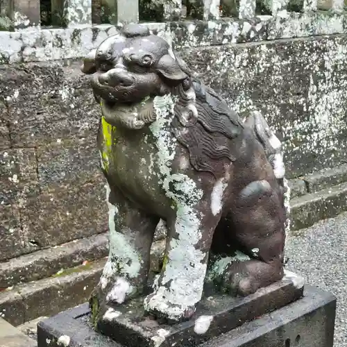 伊古奈比咩命神社の狛犬