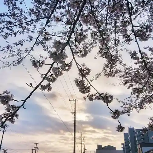 神明社（国府宮神明社）の景色