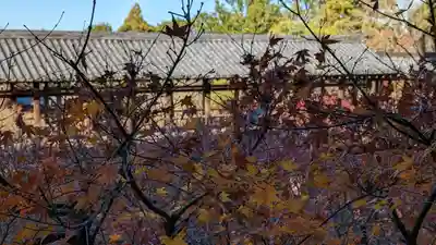 東福禅寺(東福寺)(京都府)