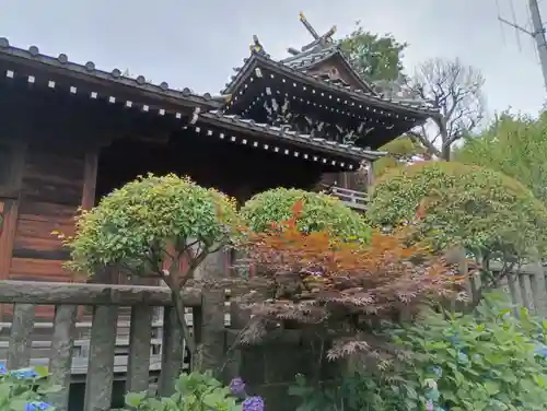 白山神社(東京都)