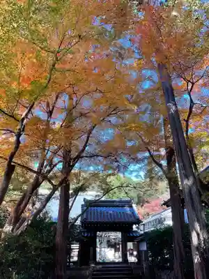 吸湖山　青岸寺の山門・神門