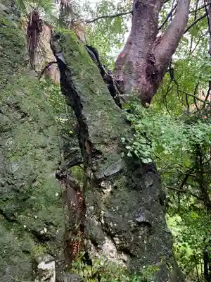 不動寺(群馬県)