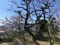 城前寺の{uncategorized: "未分類", other: "その他", undefined: "問題あり", building: "その他建物", grave: "お墓", sacred_gate: "鳥居", guardian: "狛犬", statue: "像", buddha: "仏像", history: "歴史", nature: "自然", garden: "庭園", animal: "動物", pagoda: "塔", temizu: "手水舎", mountain_gate: "山門・神門", sanctuary: "本殿・本堂", subordinate: "末社・摂社", art: "芸術", scenery: "景色", jizo: "地蔵", ema: "絵馬", goshuin: "御朱印", omikuji: "おみくじ", items: "授与品その他", amulet: "お守り", goshuincho: "御朱印帳", eats: "食事", festival: "お祭り", votive_dance: "神楽", shichigosan: "七五三参", wedding: "結婚式", experience: "体験その他", initially: "初詣", around: "周辺", anti_infection: "感染症対策"}