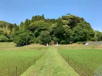 大山祇神社の周辺