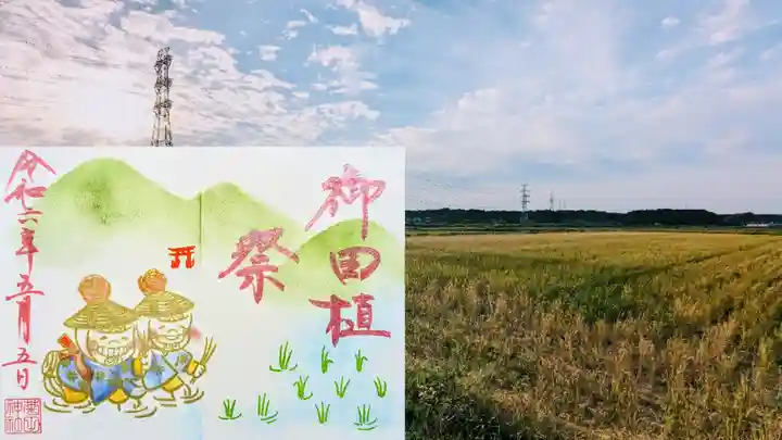 菊田神社の御朱印