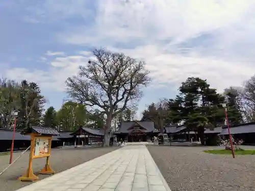 北海道護國神社の本殿・本堂