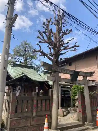 於咲稲荷神社・波除（浪除）稲荷神社(東京都)
