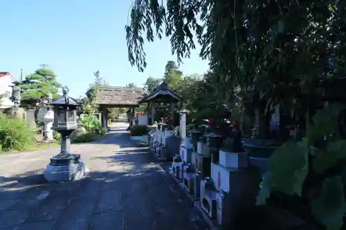龍宝寺の景色