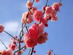 筑波山神社(茨城県)