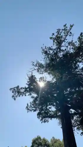 興国寺の{uncategorized: "未分類", other: "その他", undefined: "問題あり", building: "その他建物", grave: "お墓", sacred_gate: "鳥居", guardian: "狛犬", statue: "像", buddha: "仏像", history: "歴史", nature: "自然", garden: "庭園", animal: "動物", pagoda: "塔", temizu: "手水舎", mountain_gate: "山門・神門", sanctuary: "本殿・本堂", subordinate: "末社・摂社", art: "芸術", scenery: "景色", jizo: "地蔵", ema: "絵馬", goshuin: "御朱印", omikuji: "おみくじ", items: "授与品その他", amulet: "お守り", goshuincho: "御朱印帳", eats: "食事", festival: "お祭り", votive_dance: "神楽", shichigosan: "七五三参", wedding: "結婚式", experience: "体験その他", initially: "初詣", around: "周辺", anti_infection: "感染症対策"}