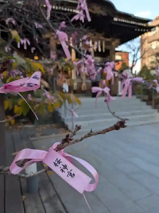 桜神宮(東京都)